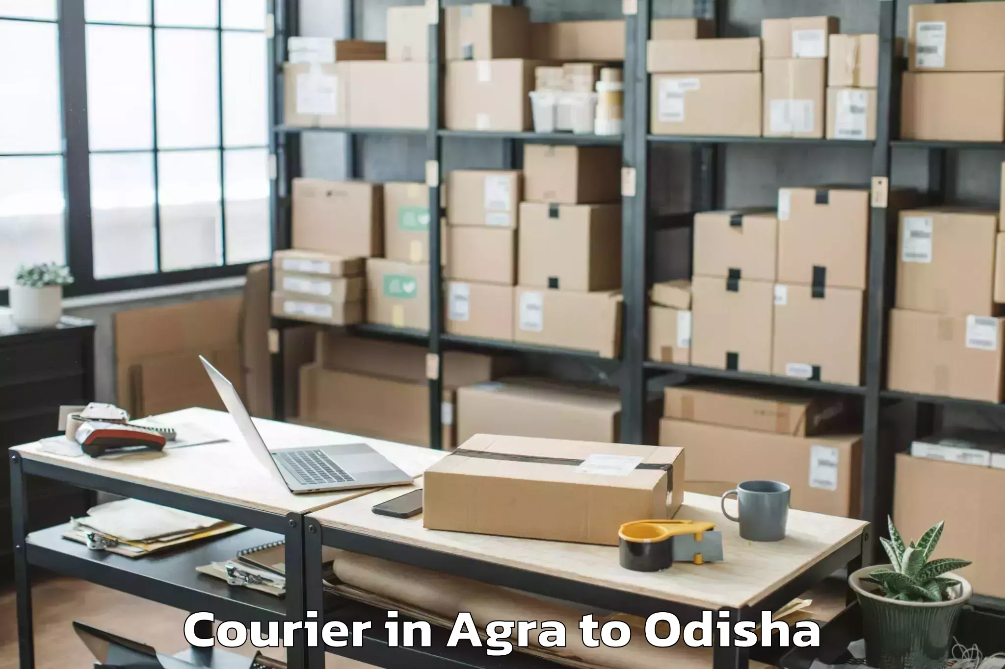 Reliable Agra to Raghunathapali Courier